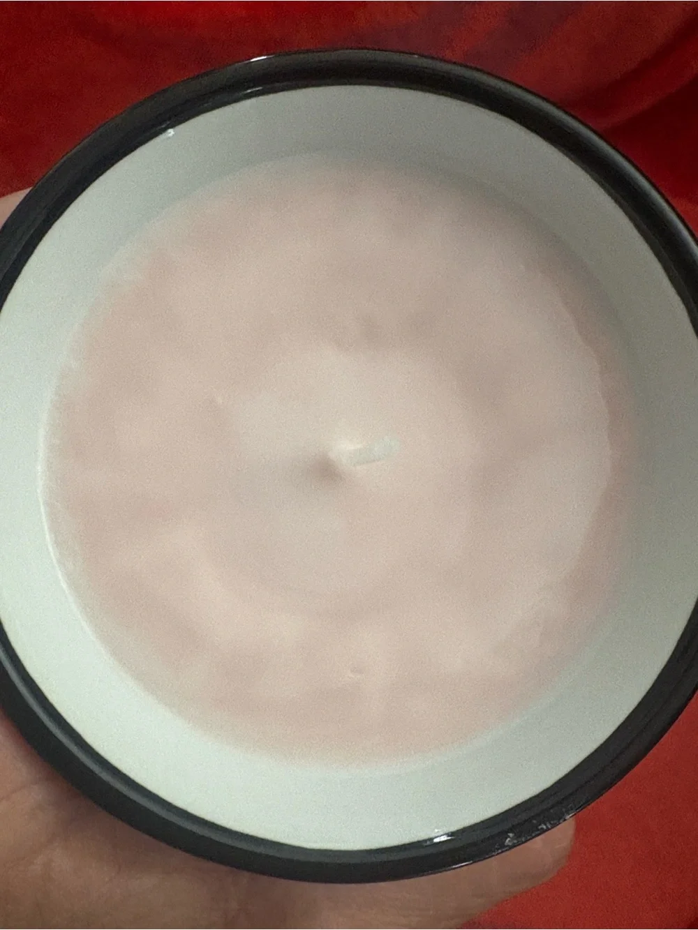 Holiday Teddy Bear serene summit & glided Apple apricot soy wax 24 oz candle